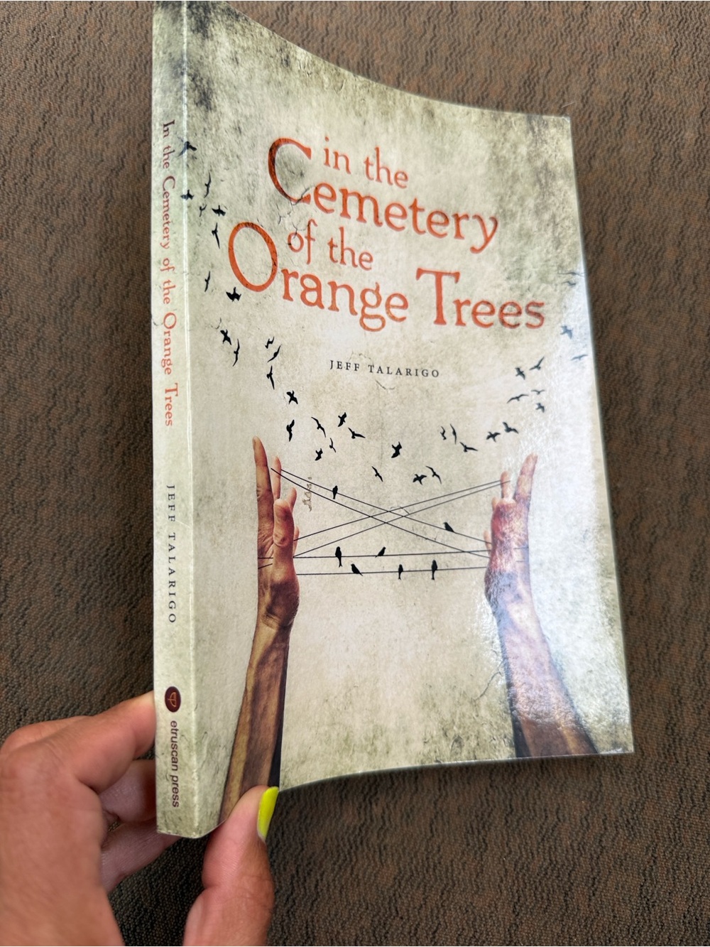 In the Cemetery of the Orange Trees by Jeff Talarigo - Cream & Orange Cover